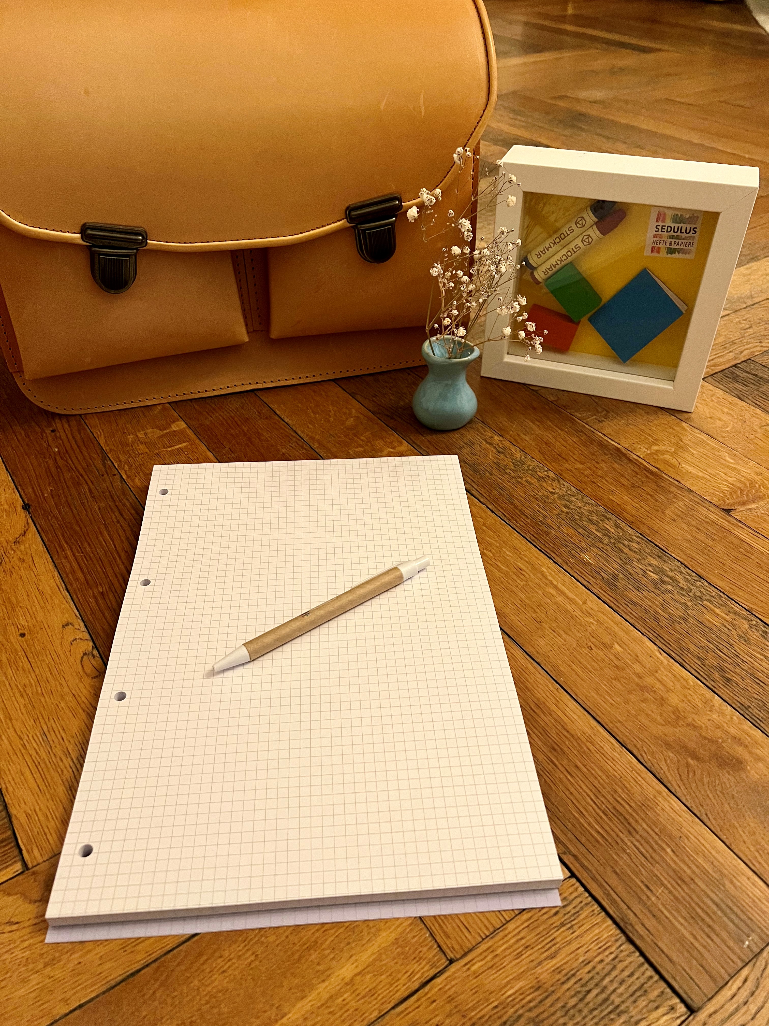 M:\Faktura-Onlineshop\FOTOS SHOP SEDULUS\Collegeblöcke\Modelfoto kariert offen.jpg