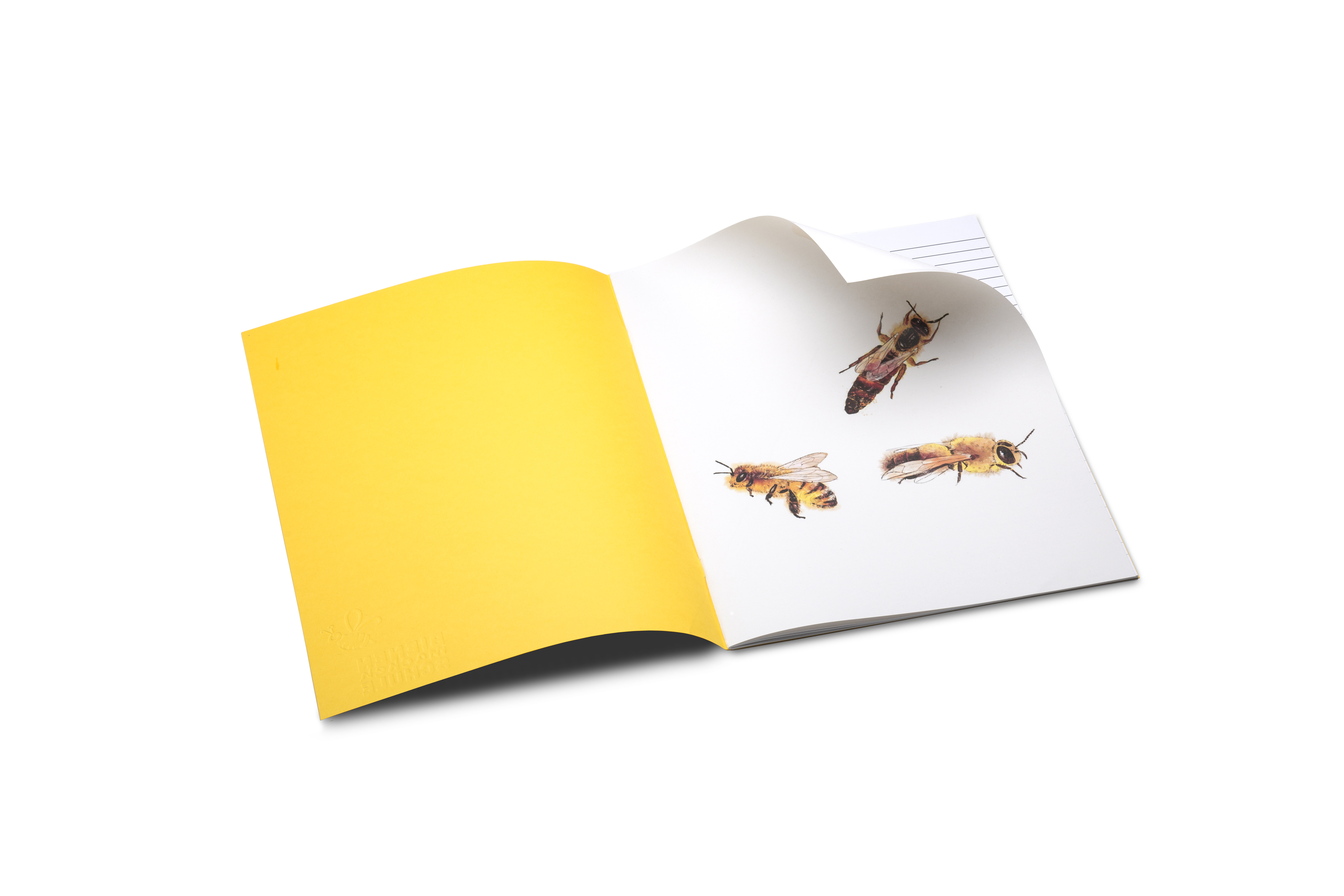 M:\Faktura-Onlineshop\FOTOS SHOP SEDULUS\Bienenhefte und Spiral\bienenheft_3.jpg