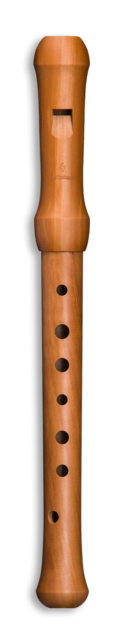 M:\Faktura-Onlineshop\FOTOS SHOP SEDULUS\Musikinstrumente\19141-1.jpg