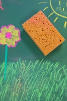 Tafelschwamm Spitzenqualität  Tafelschwamm Spitzenqualität